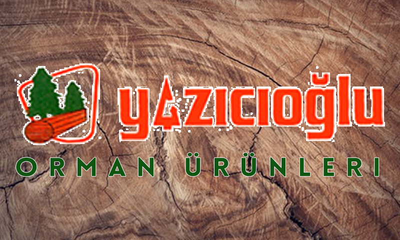 Yazıcıoğlu Tarihçe